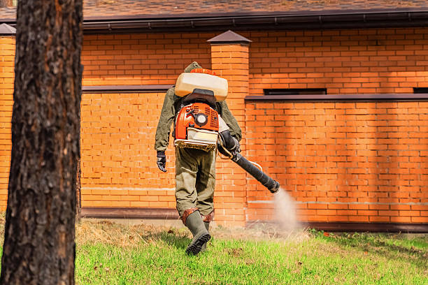 Trusted Cockroach Control service in Westlake Corner, VA - Nex Pest Control